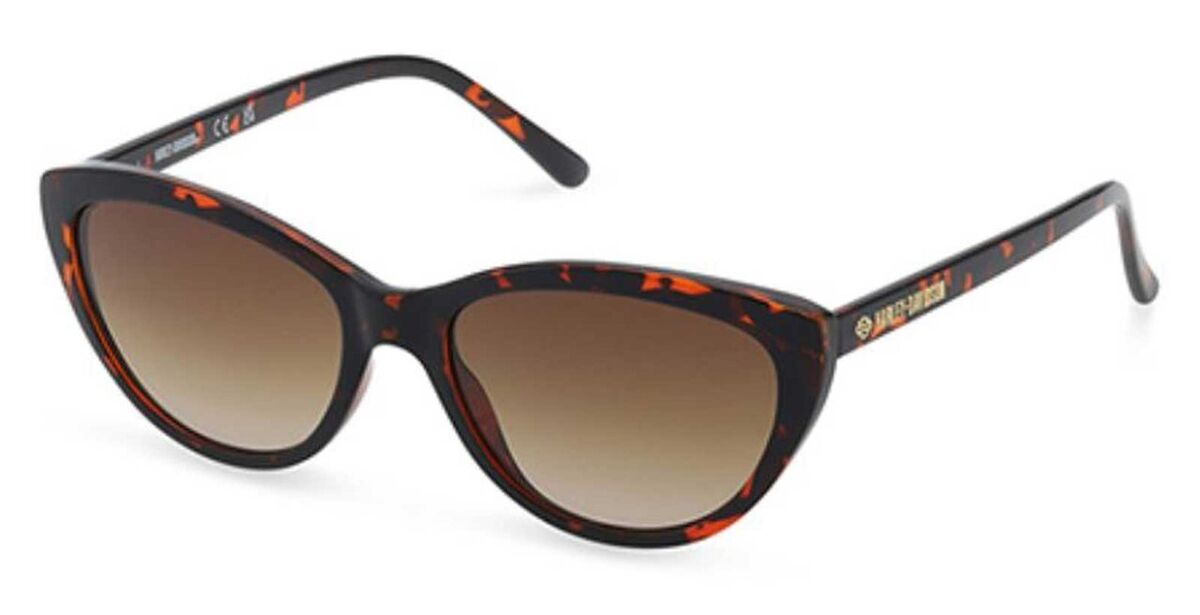 lunette de soleil