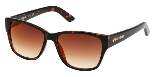 lunette de soleil